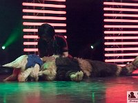 2017-04-14-123111 : Polymanga, concours cosplay mixte