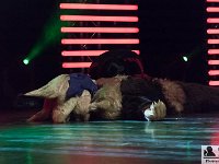 2017-04-14-123119 : Polymanga, concours cosplay mixte