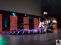 2017-04-14-124009 : Polymanga, concours cosplay mixte
