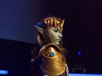2017-04-14-124931 : Polymanga, concours cosplay mixte