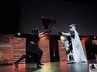 2017-04-14-130224 : Polymanga, concours cosplay mixte