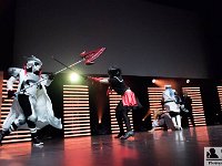 2017-04-14-130227 : Polymanga, concours cosplay mixte