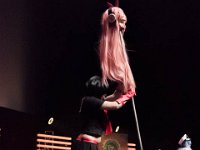 2017-04-14-130342 : Polymanga, concours cosplay mixte