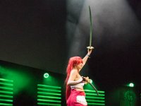 2017-04-14-130721 : Polymanga, concours cosplay mixte