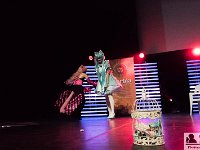 2017-04-14-133545 : Polymanga, concours cosplay mixte