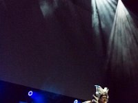 2017-04-14-134422 : Polymanga, concours cosplay mixte