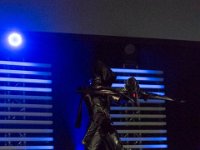 2017-04-15-120543 : Polymanga, concours cosplay solo