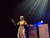 2017-04-15-122903 : Polymanga, concours cosplay solo