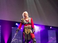 2017-04-15-123138 : Polymanga, concours cosplay solo