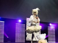 2017-04-15-124318 : Polymanga, concours cosplay solo