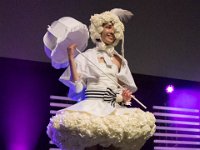 2017-04-15-124334 : Polymanga, concours cosplay solo