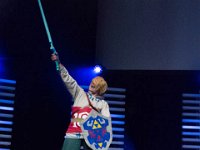 2017-04-15-131451 : Polymanga, concours cosplay solo