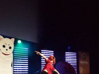 2017-04-15-132154-2 : Polymanga, concours cosplay solo